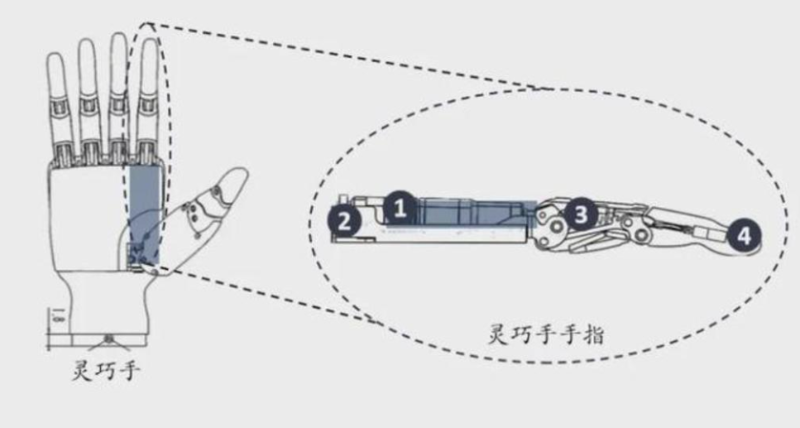 靈巧手結(jié)構(gòu)